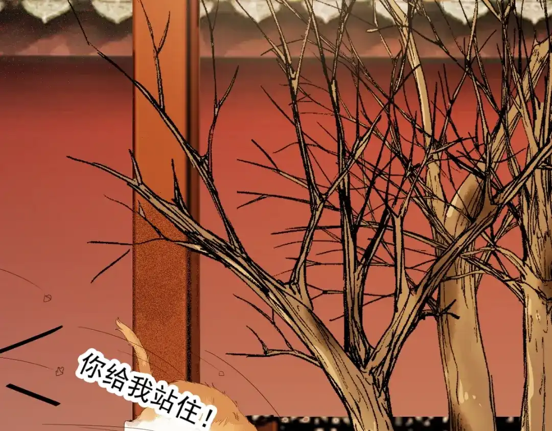 《杀手王妃不好惹》38-重逢 第76页
