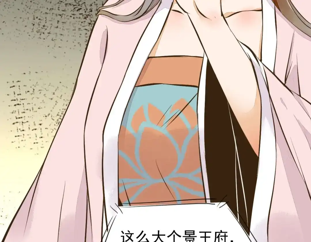 《杀手王妃不好惹》04-特殊癖好 第20页