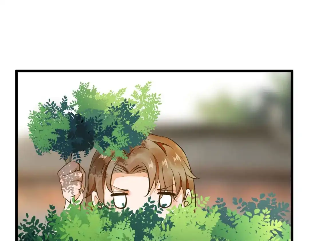 《杀手王妃不好惹》04-特殊癖好 第56页