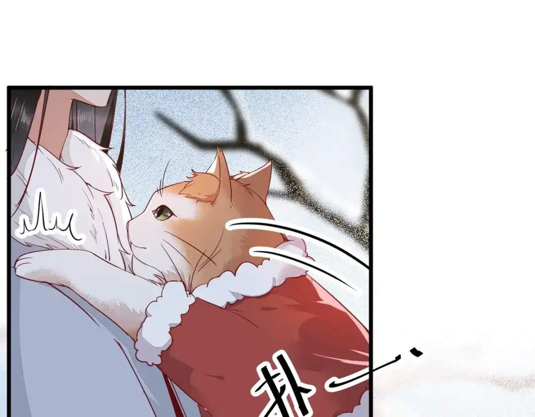 《杀手王妃不好惹》39-玄冰密室 第6页
