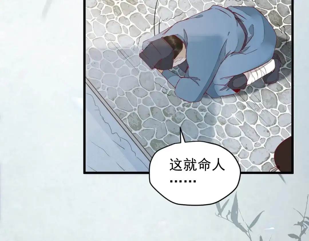 《杀手王妃不好惹》39-玄冰密室 第23页