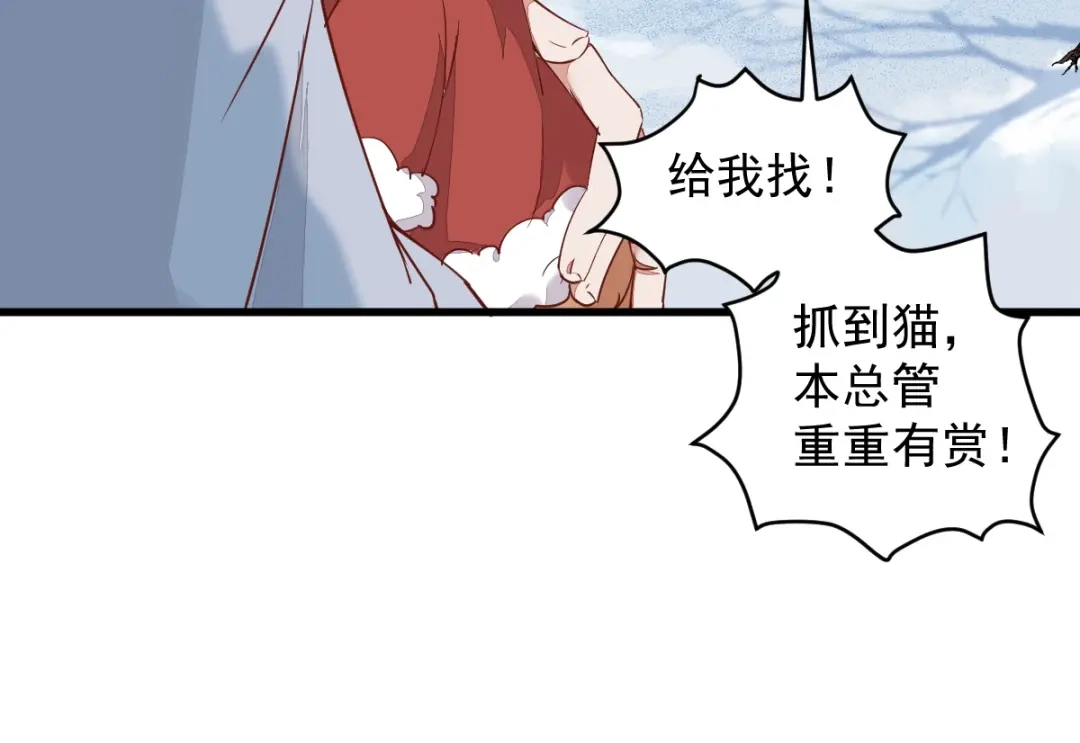 《杀手王妃不好惹》39-玄冰密室 第17页