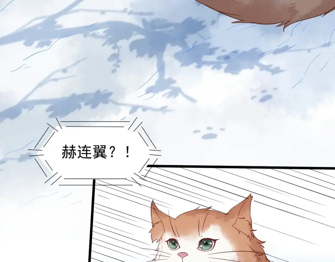 《杀手王妃不好惹》39-玄冰密室 第4页