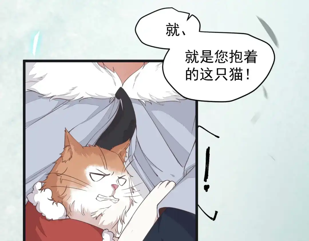 《杀手王妃不好惹》39-玄冰密室 第29页