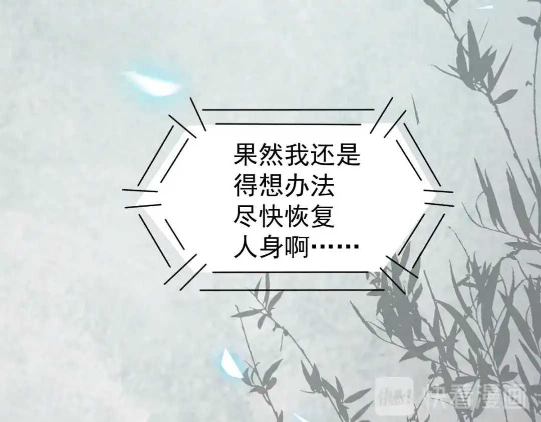 《杀手王妃不好惹》39-玄冰密室 第42页