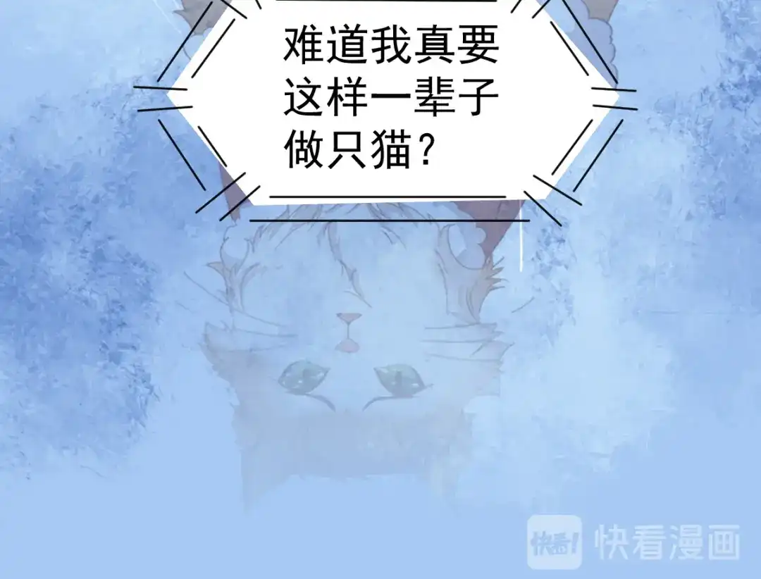 《杀手王妃不好惹》40-洗澡 第53页