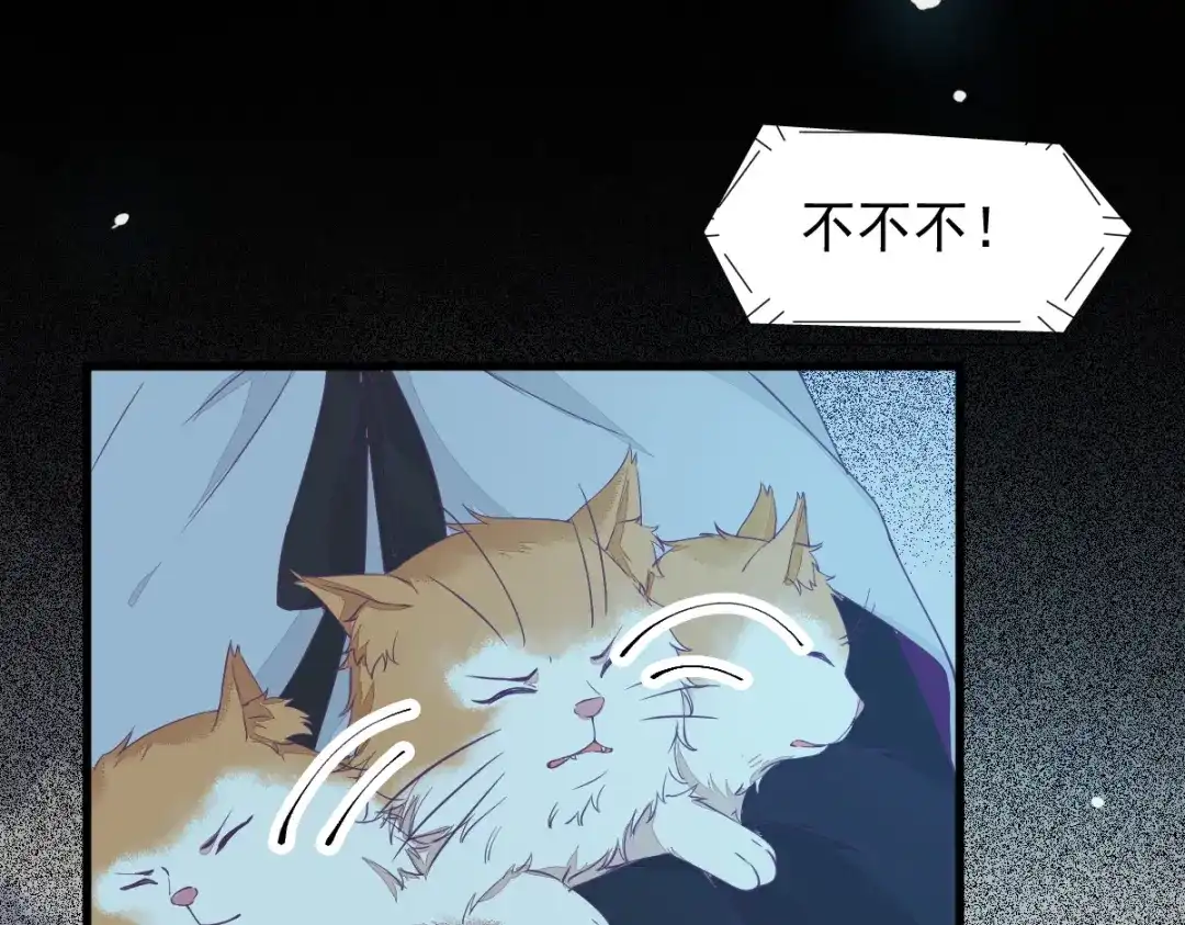 《杀手王妃不好惹》40-洗澡 第12页