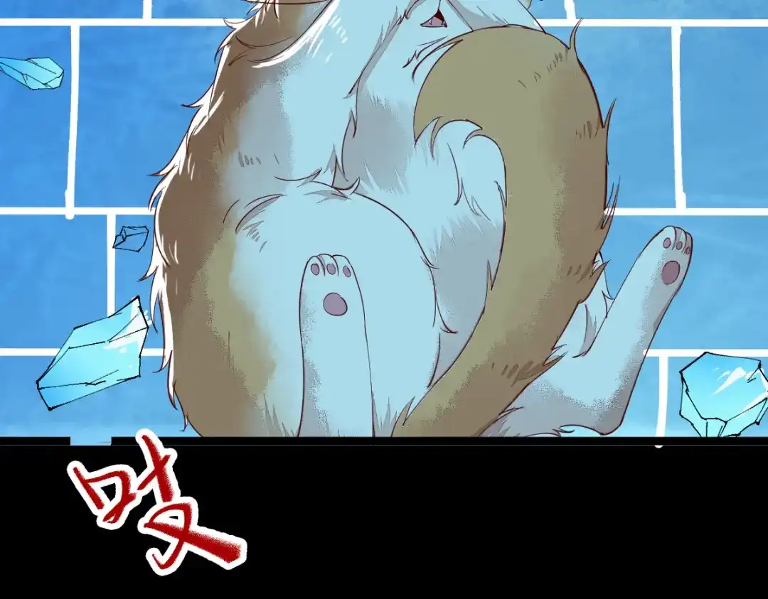 《杀手王妃不好惹》41-变回人了？ 第86页