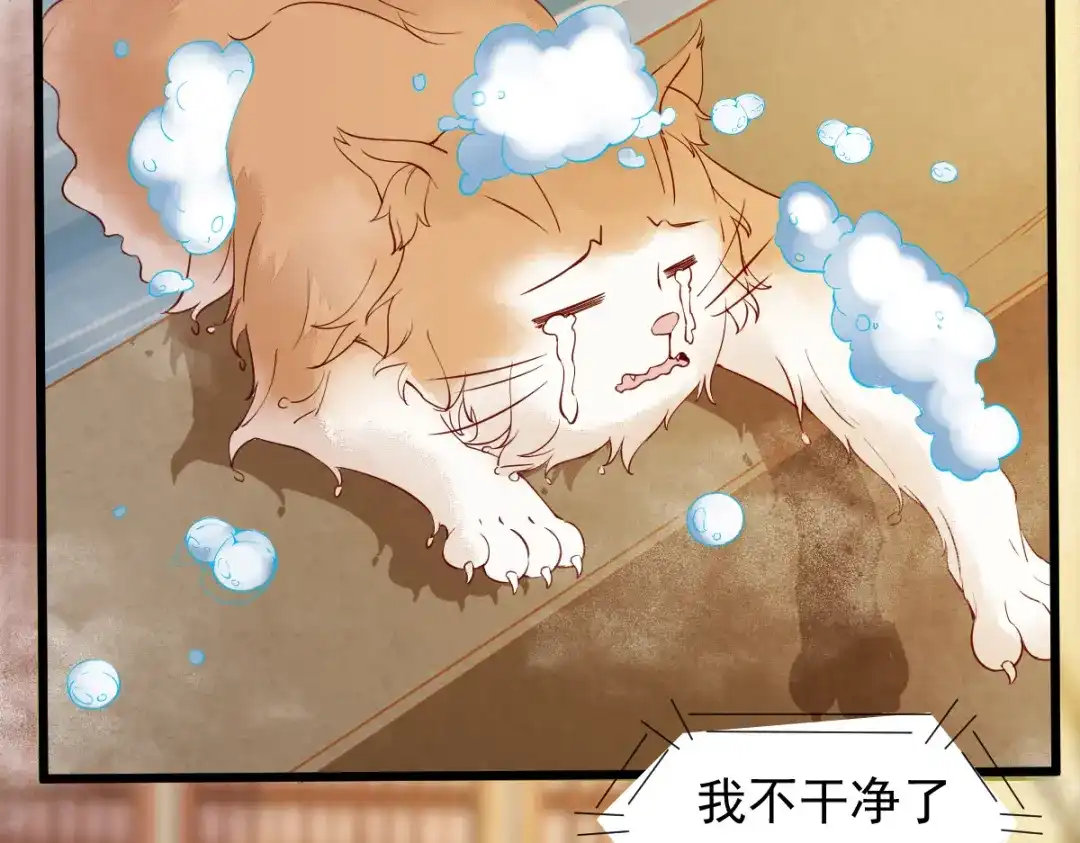 《杀手王妃不好惹》41-变回人了？ 第3页