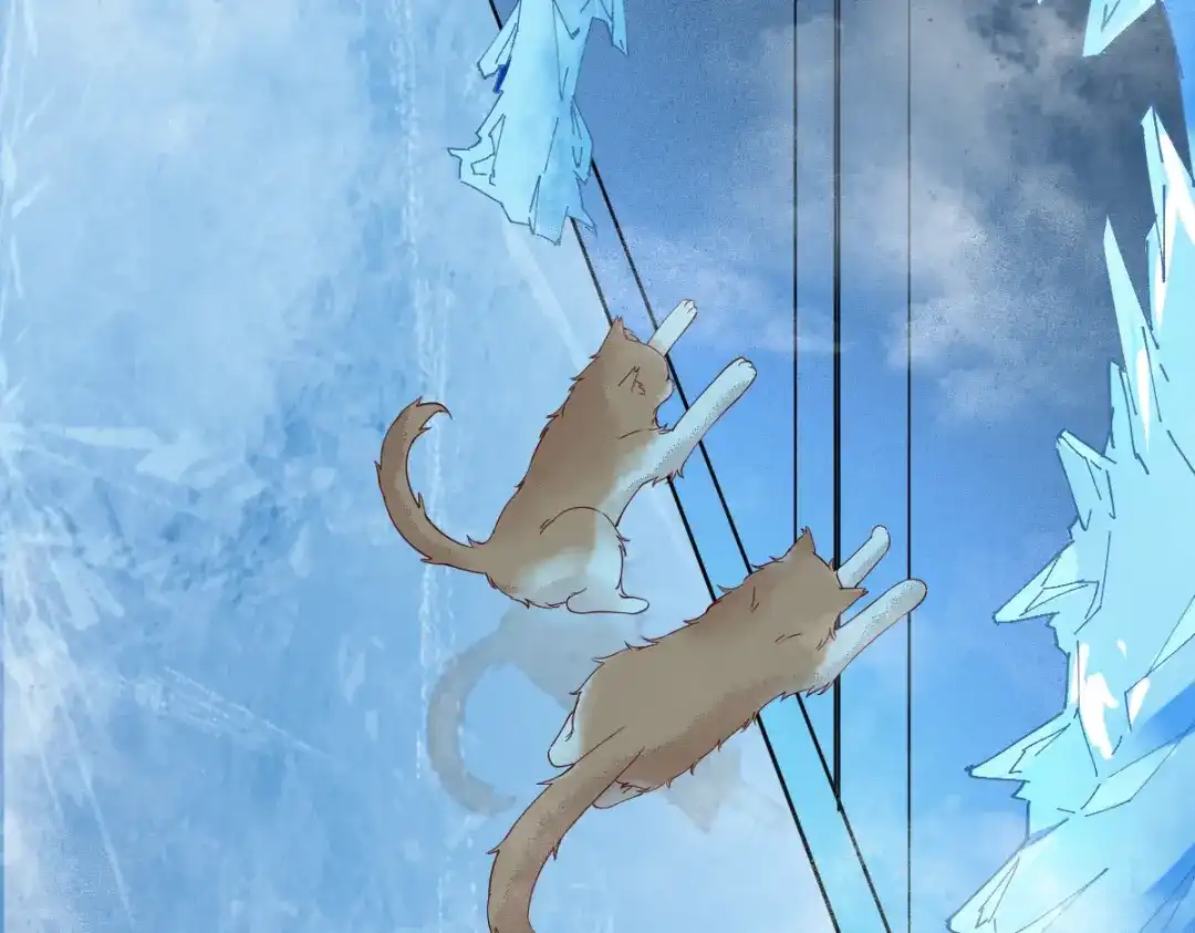 《杀手王妃不好惹》41-变回人了？ 第49页