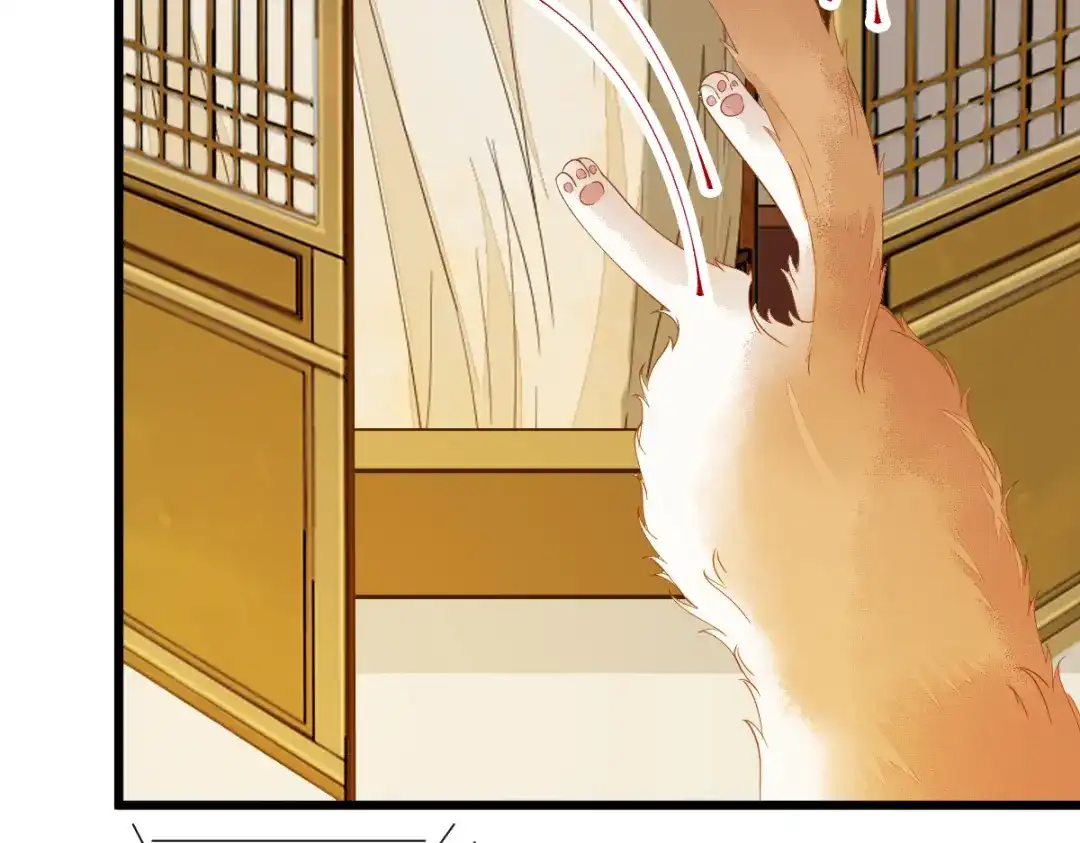 《杀手王妃不好惹》41-变回人了？ 第40页