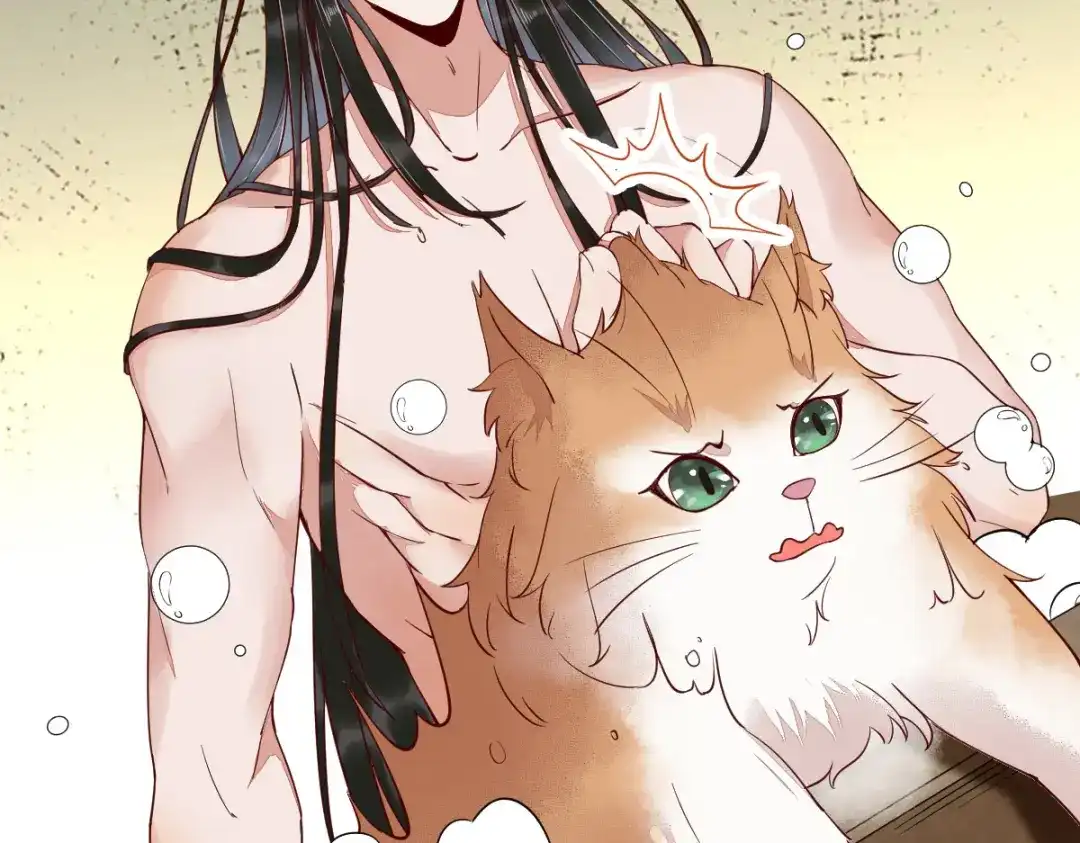 《杀手王妃不好惹》41-变回人了？ 第11页