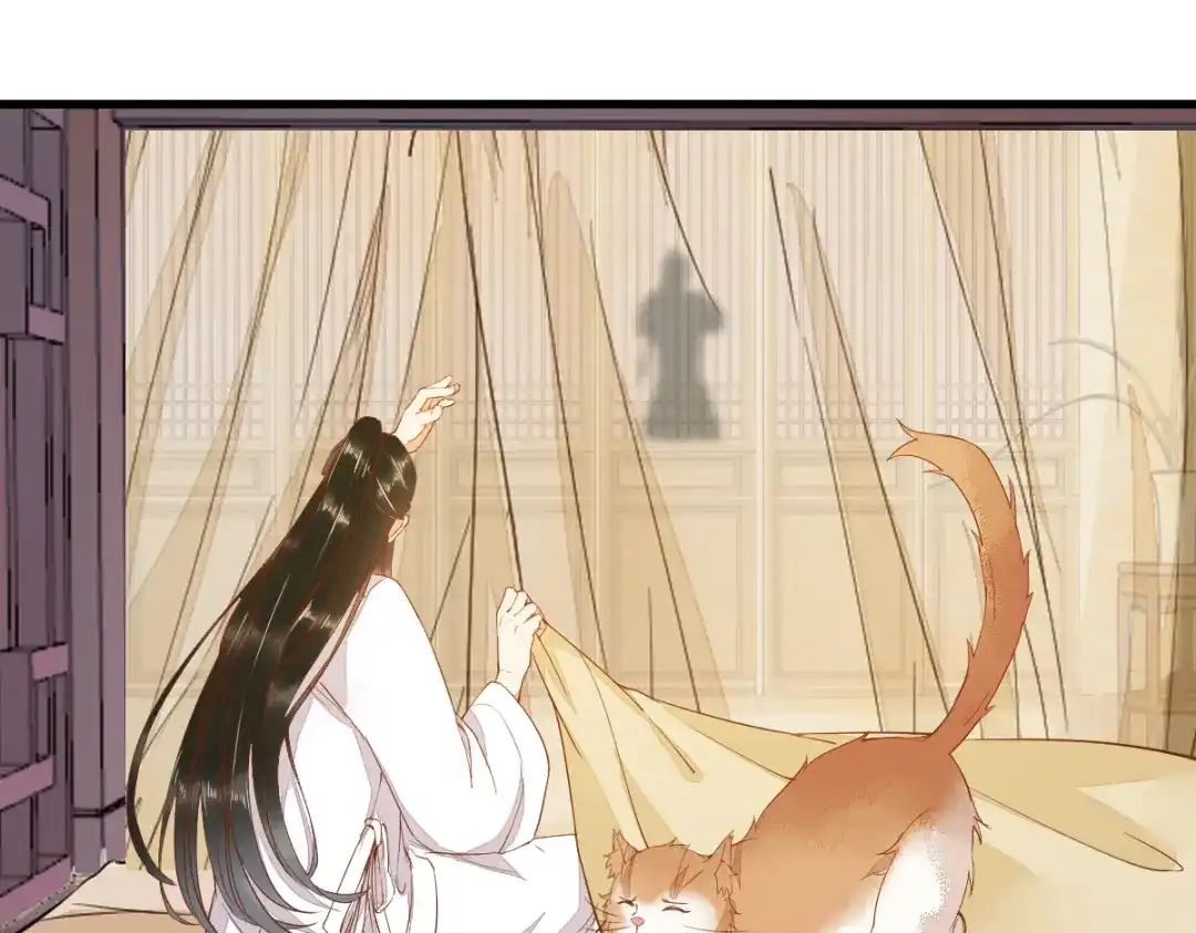 《杀手王妃不好惹》41-变回人了？ 第33页