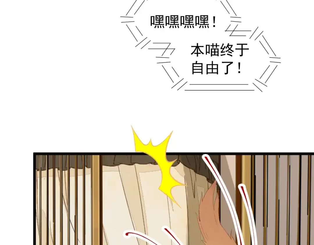 《杀手王妃不好惹》41-变回人了？ 第39页