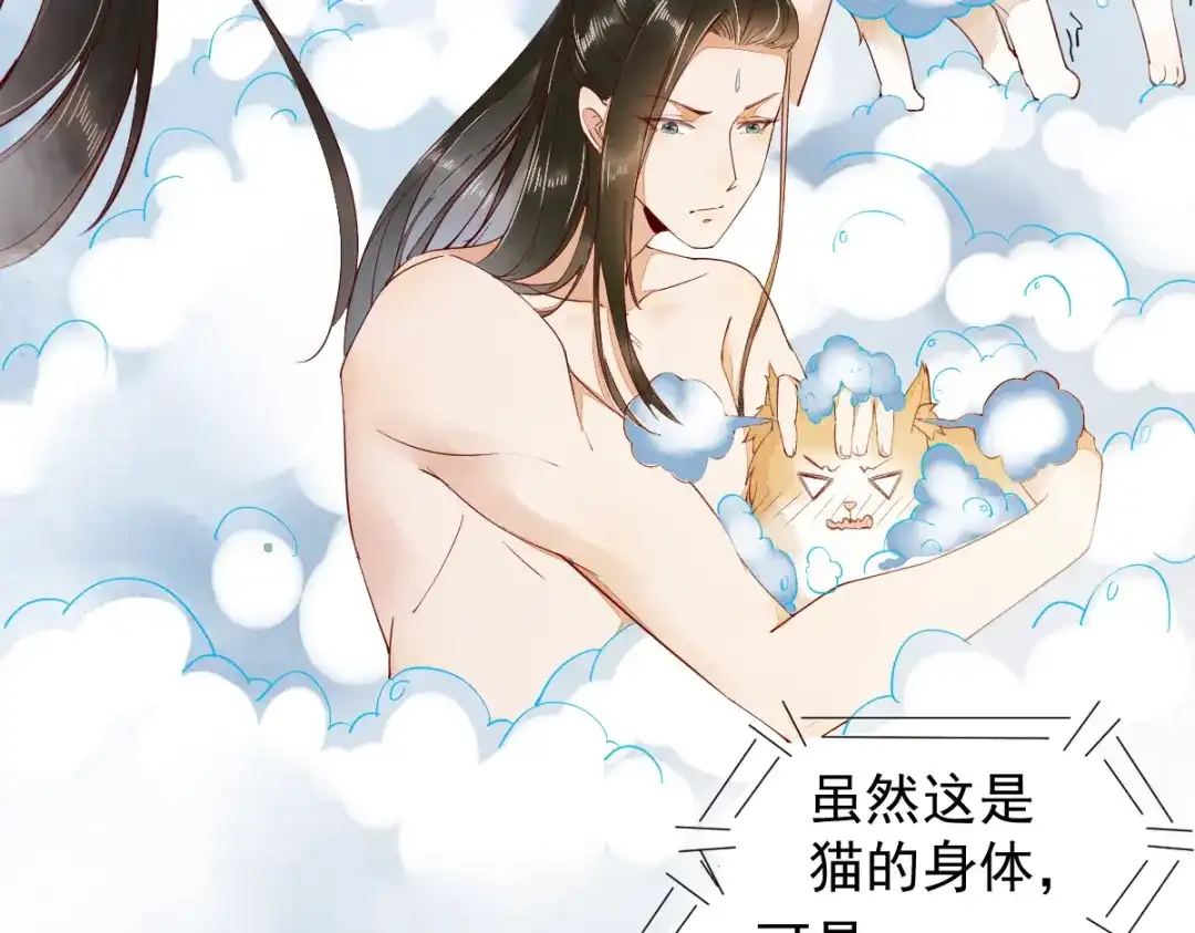 《杀手王妃不好惹》41-变回人了？ 第6页