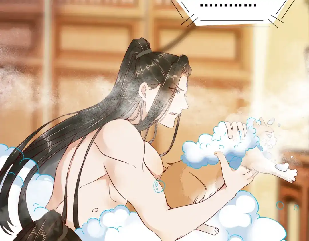 《杀手王妃不好惹》41-变回人了？ 第4页