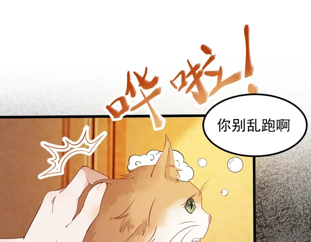 《杀手王妃不好惹》41-变回人了？ 第9页