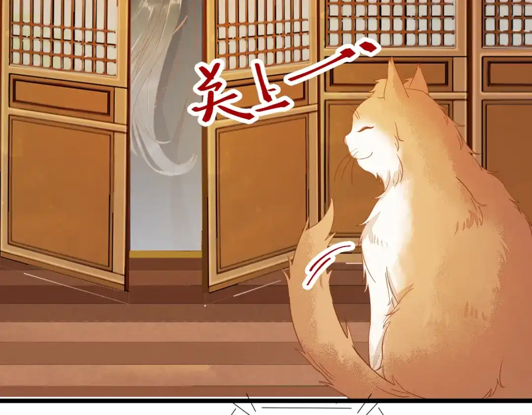 《杀手王妃不好惹》41-变回人了？ 第38页