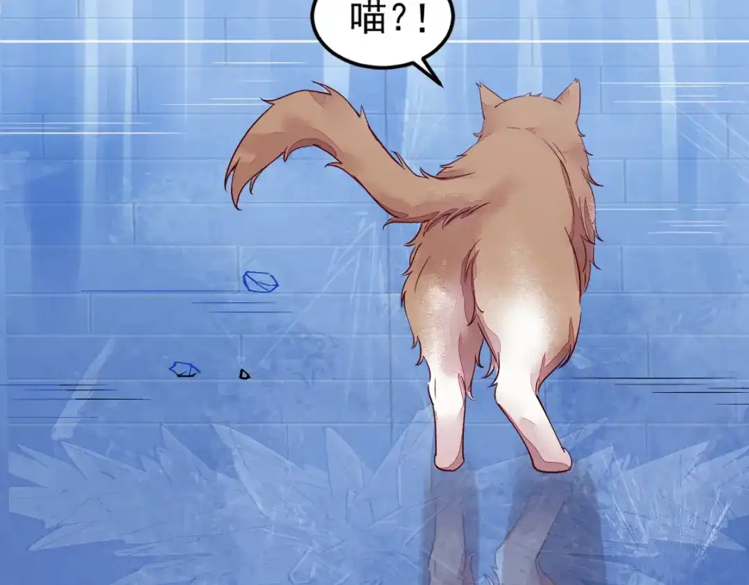 《杀手王妃不好惹》44-莫喵遇百合 第25页