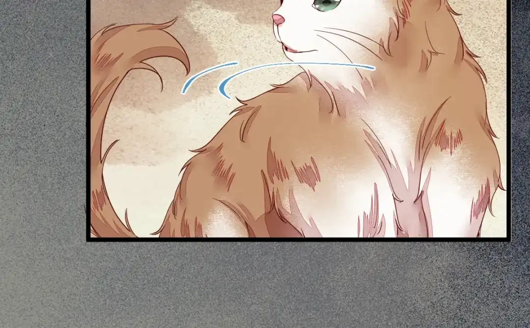 《杀手王妃不好惹》44-莫喵遇百合 第81页