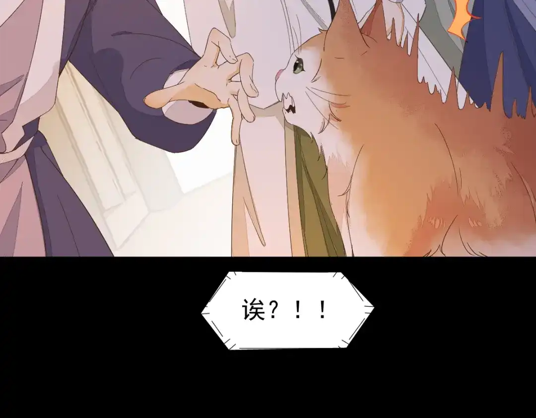 《杀手王妃不好惹》44-莫喵遇百合 第84页