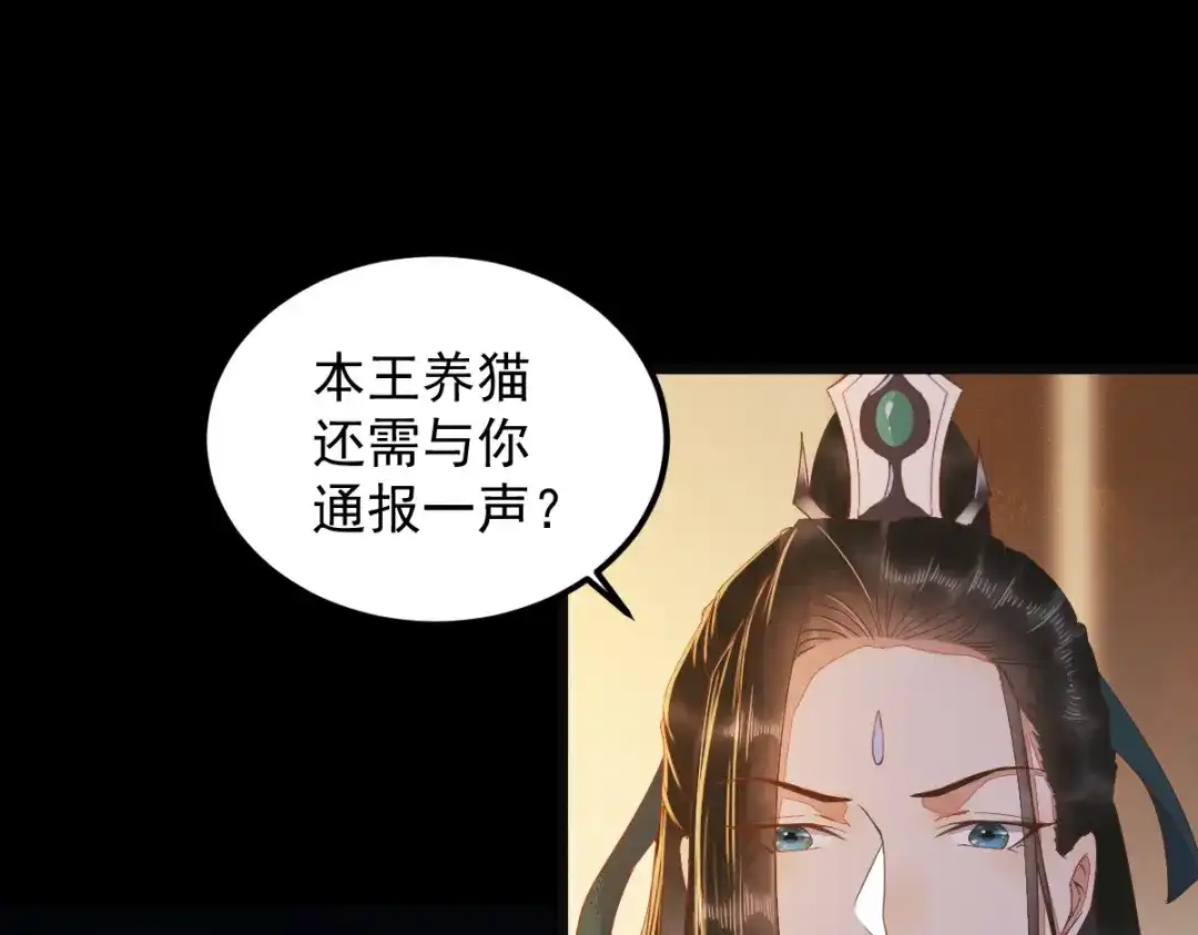 《杀手王妃不好惹》44-莫喵遇百合 第93页