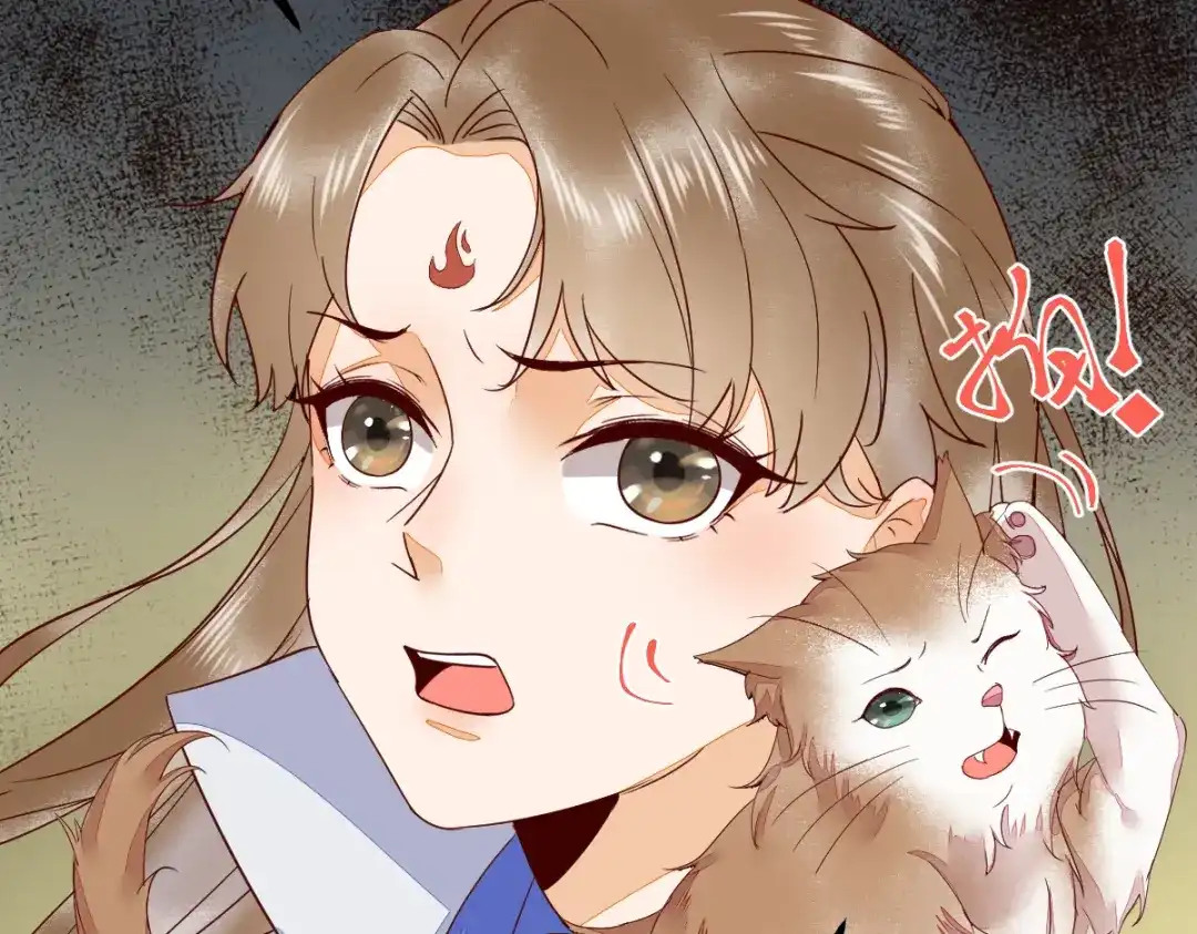 《杀手王妃不好惹》44-莫喵遇百合 第77页