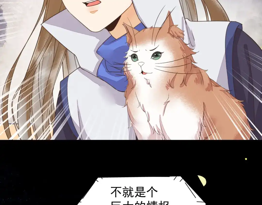 《杀手王妃不好惹》45-茗香阁真相 第62页