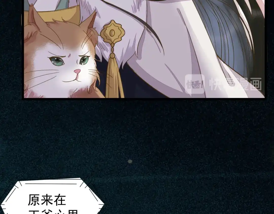 《杀手王妃不好惹》45-茗香阁真相 第39页