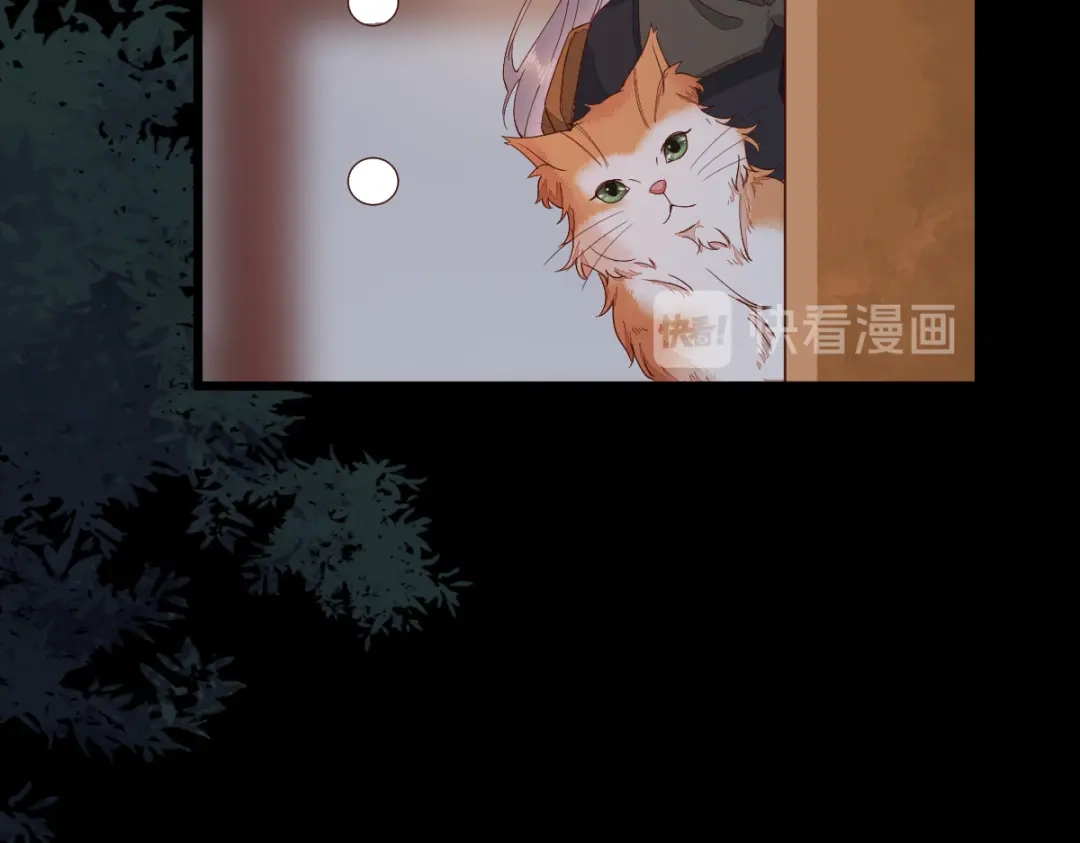 《杀手王妃不好惹》46-露出狐狸尾巴 第34页