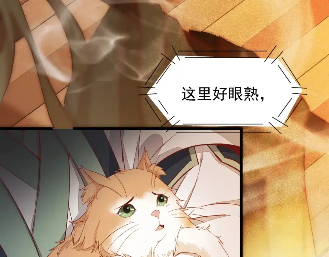 《杀手王妃不好惹》47-前世记忆重叠 第27页