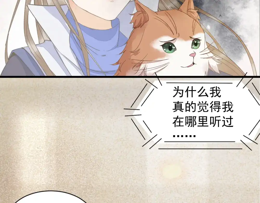 《杀手王妃不好惹》47-前世记忆重叠 第49页