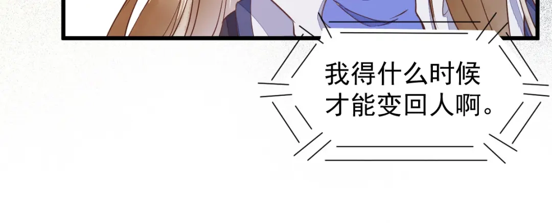 《杀手王妃不好惹》47-前世记忆重叠 第15页