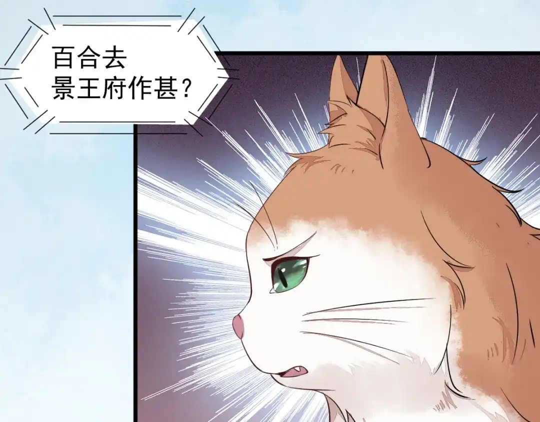 《杀手王妃不好惹》47-前世记忆重叠 第19页