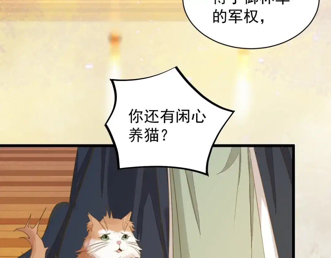 《杀手王妃不好惹》47-前世记忆重叠 第46页