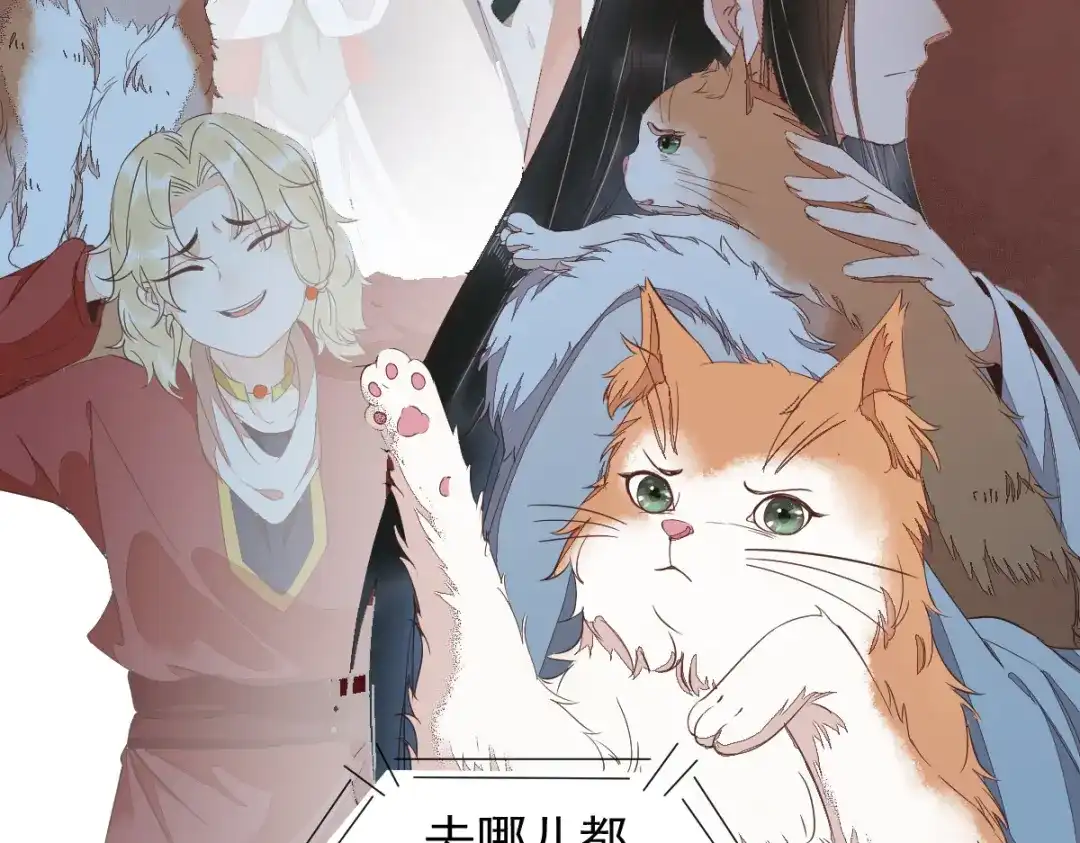 《杀手王妃不好惹》47-前世记忆重叠 第12页