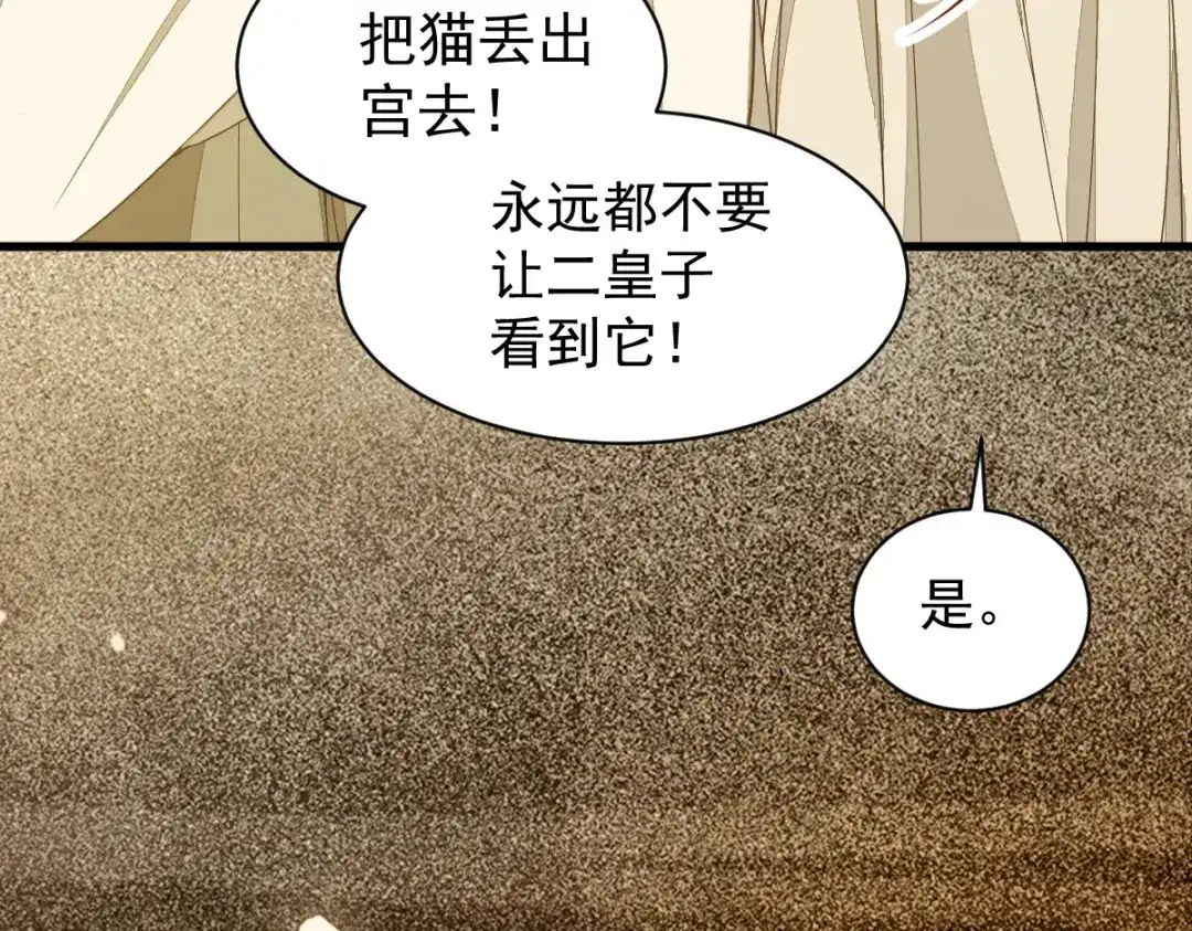 《杀手王妃不好惹》48-童年的记忆重叠 第33页