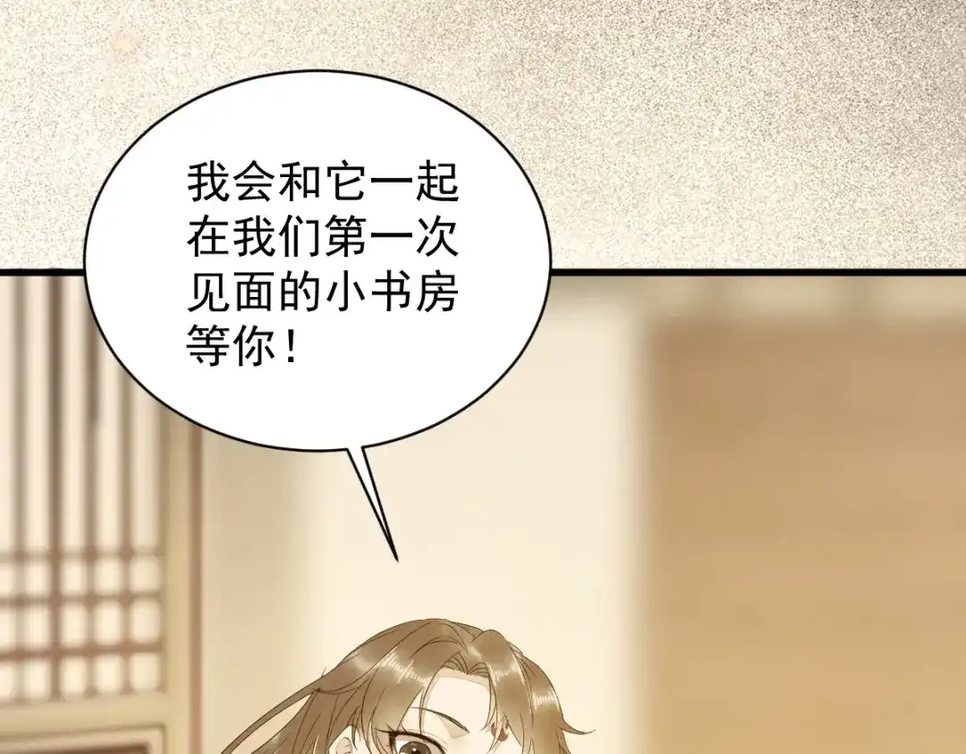 《杀手王妃不好惹》48-童年的记忆重叠 第56页
