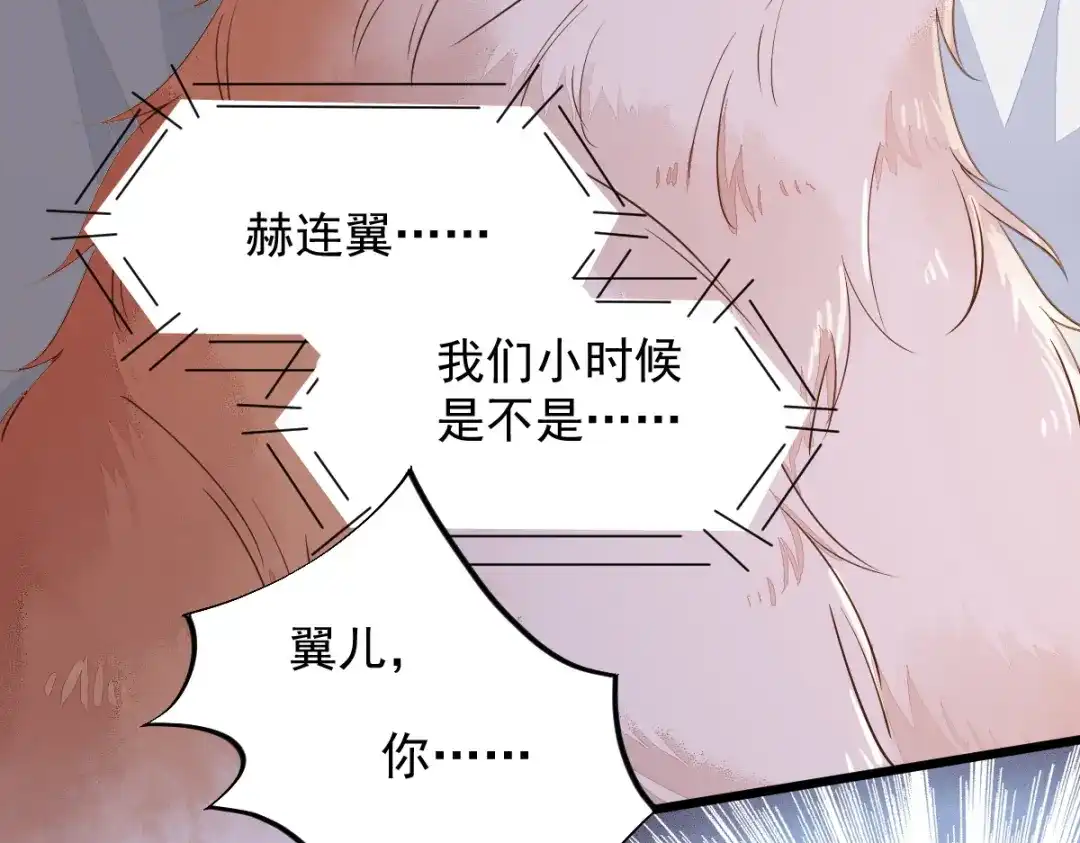 《杀手王妃不好惹》48-童年的记忆重叠 第87页