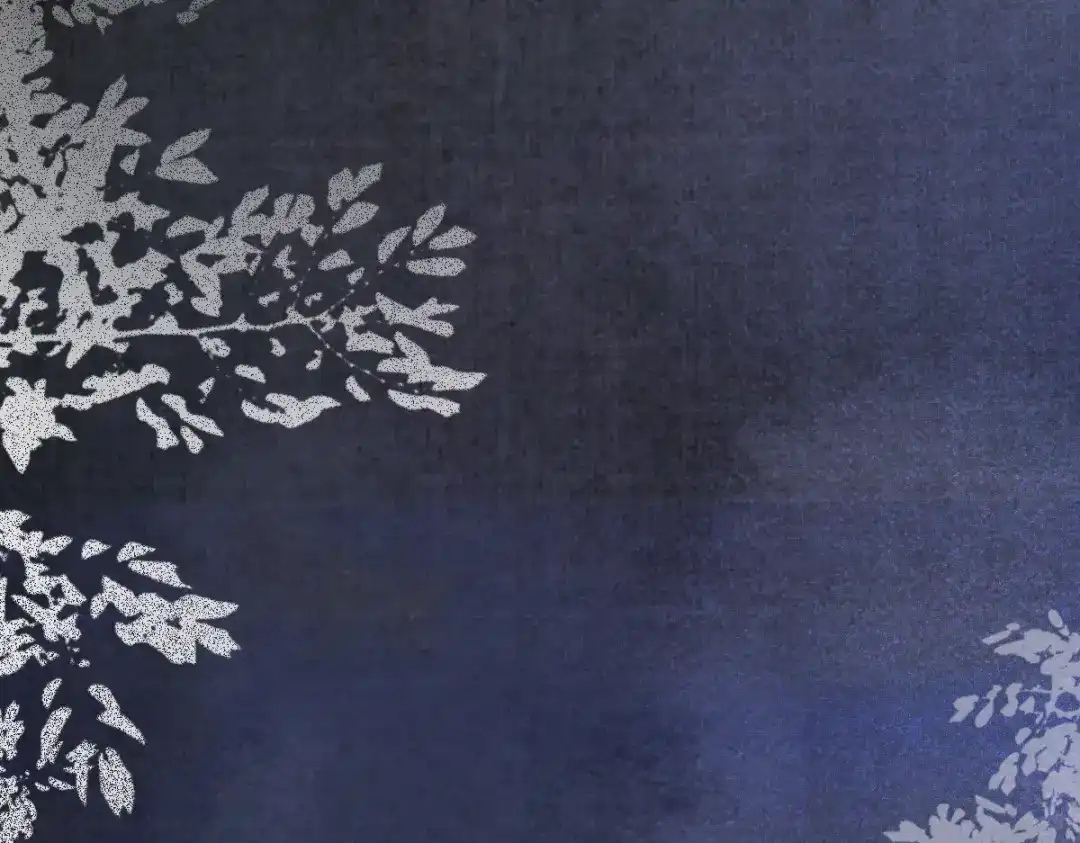 《杀手王妃不好惹》48-童年的记忆重叠 第69页