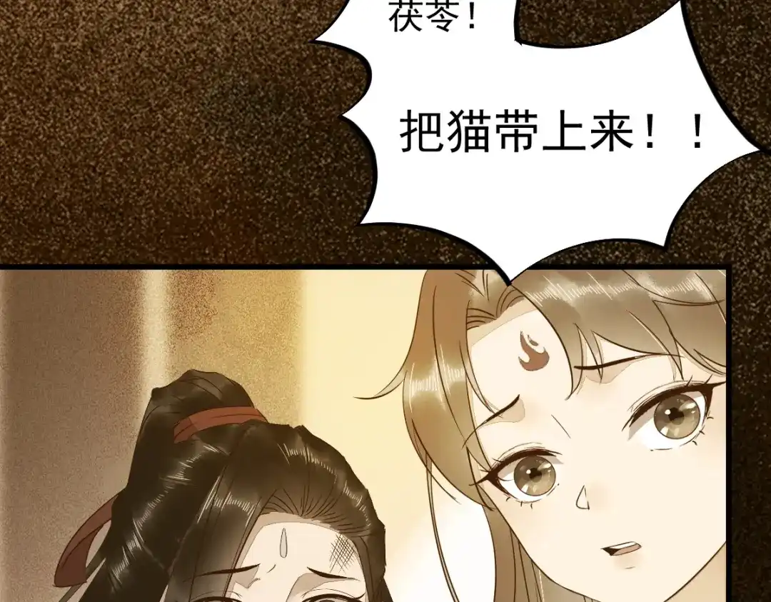 《杀手王妃不好惹》48-童年的记忆重叠 第29页