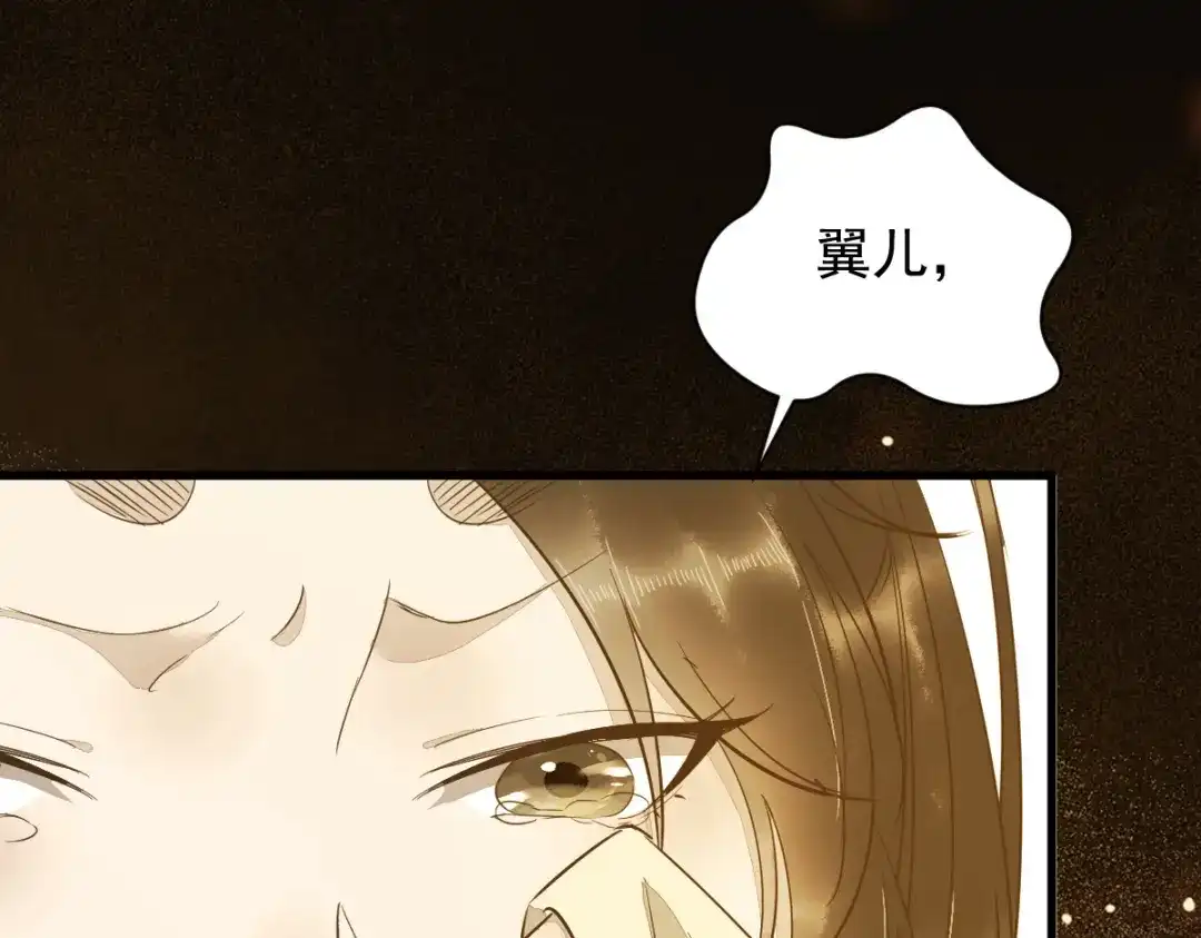 《杀手王妃不好惹》48-童年的记忆重叠 第37页