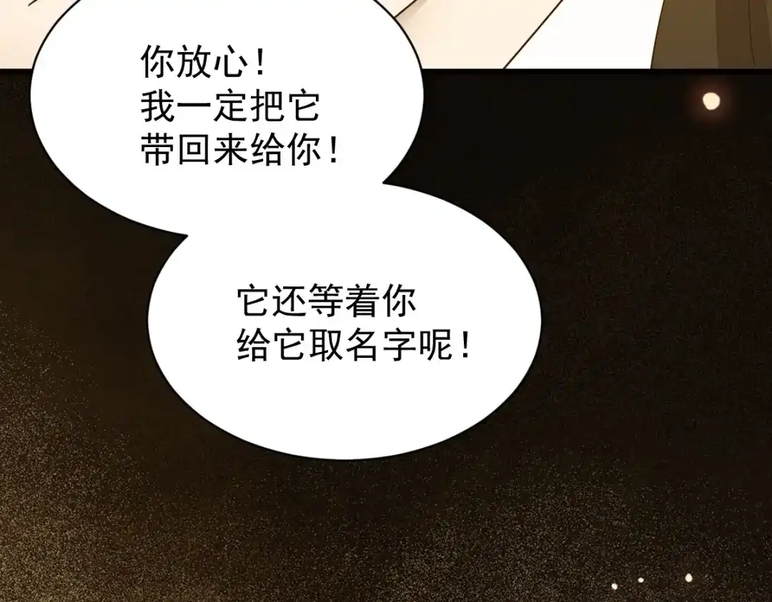 《杀手王妃不好惹》48-童年的记忆重叠 第53页