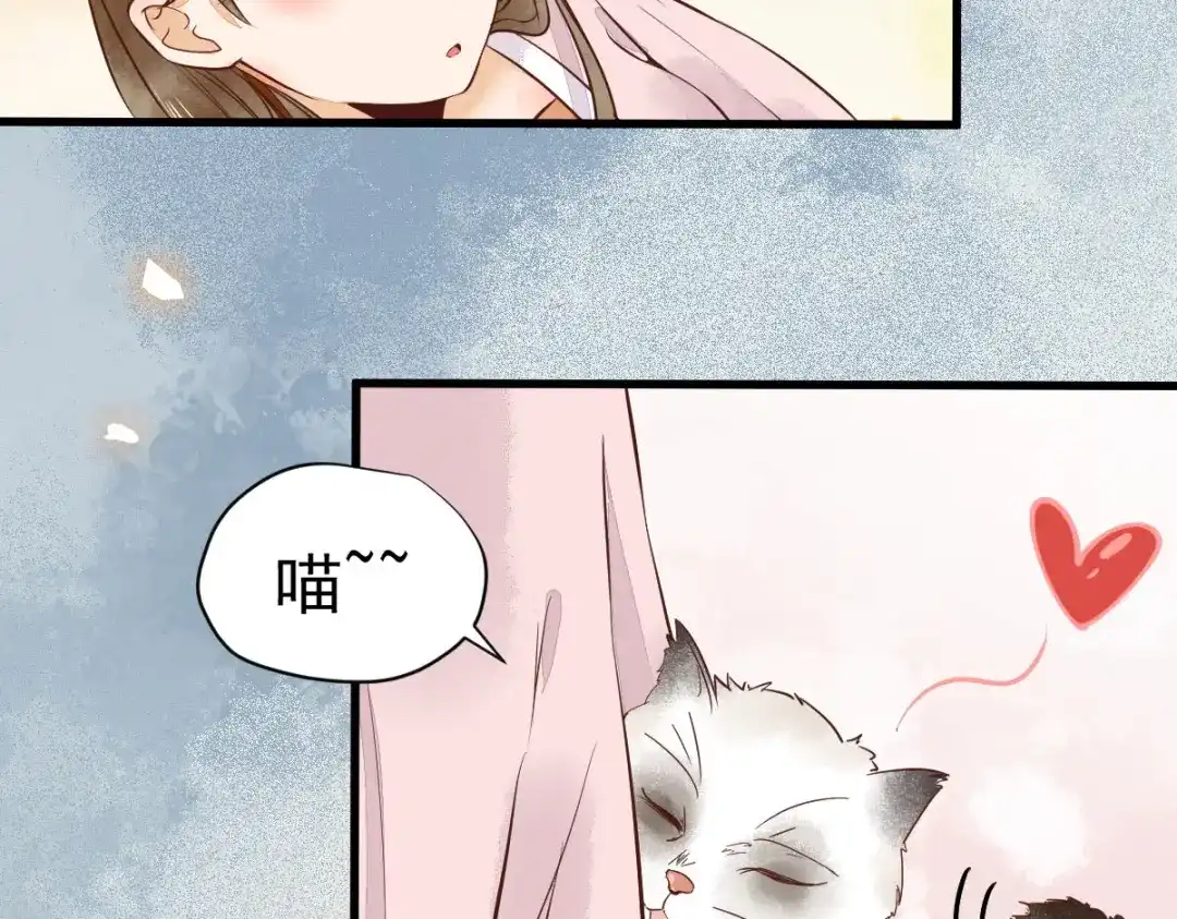 《杀手王妃不好惹》05-下药 第13页