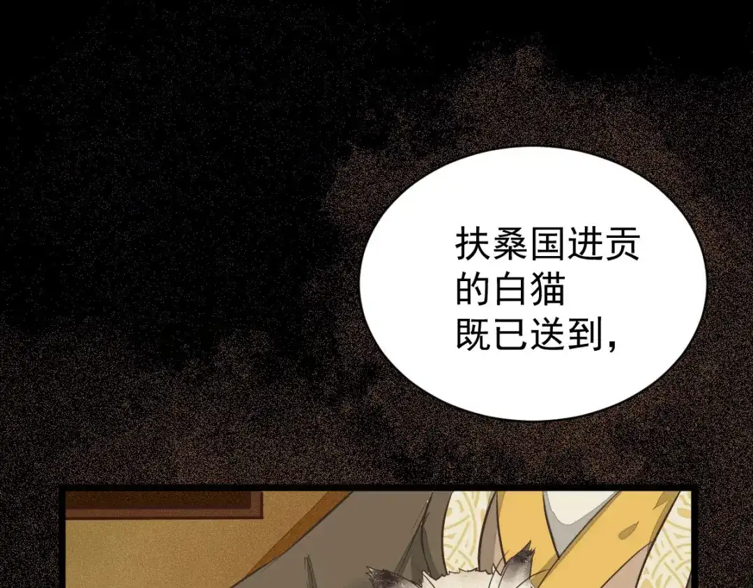 《杀手王妃不好惹》05-下药 第59页