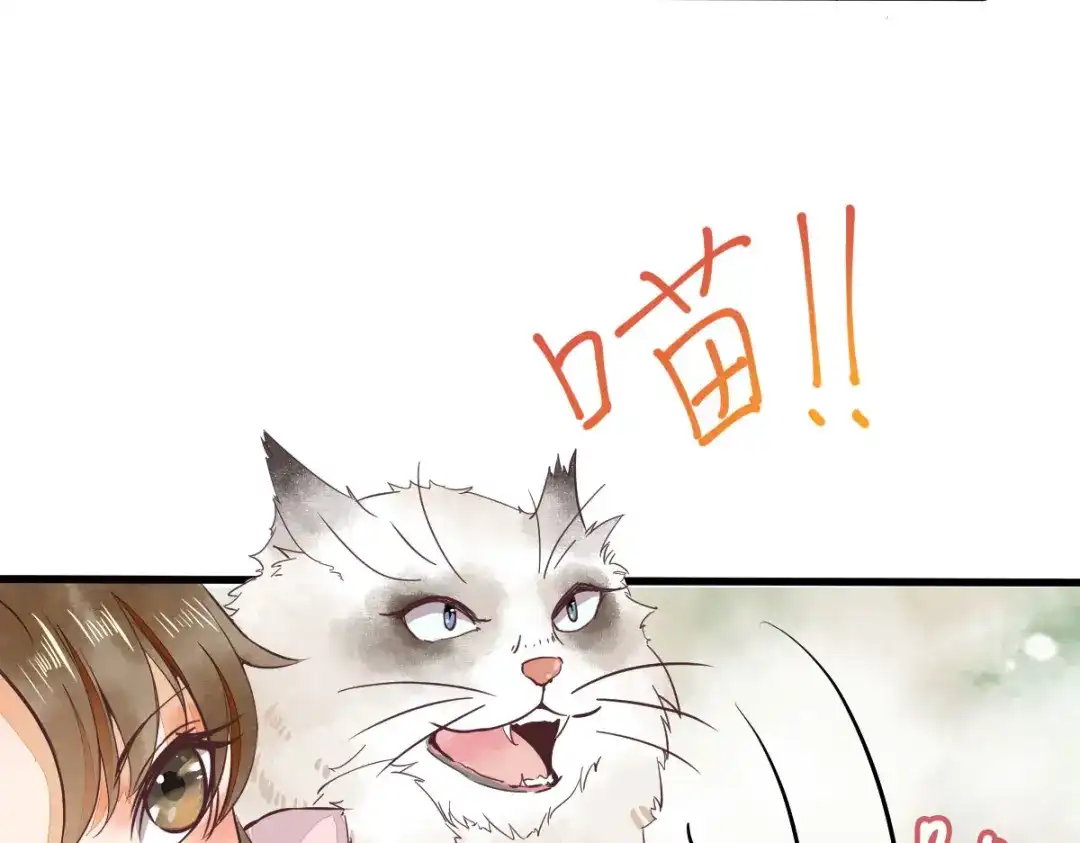 《杀手王妃不好惹》05-下药 第22页