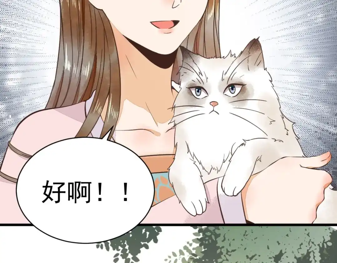 《杀手王妃不好惹》05-下药 第33页