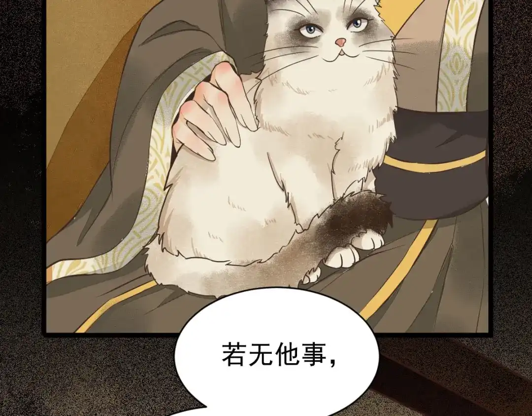 《杀手王妃不好惹》05-下药 第60页