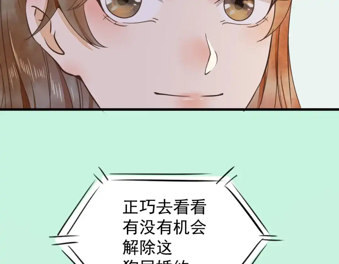 《杀手王妃不好惹》05-下药 第36页