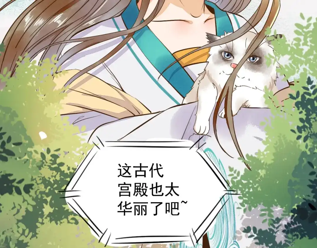《杀手王妃不好惹》05-下药 第47页
